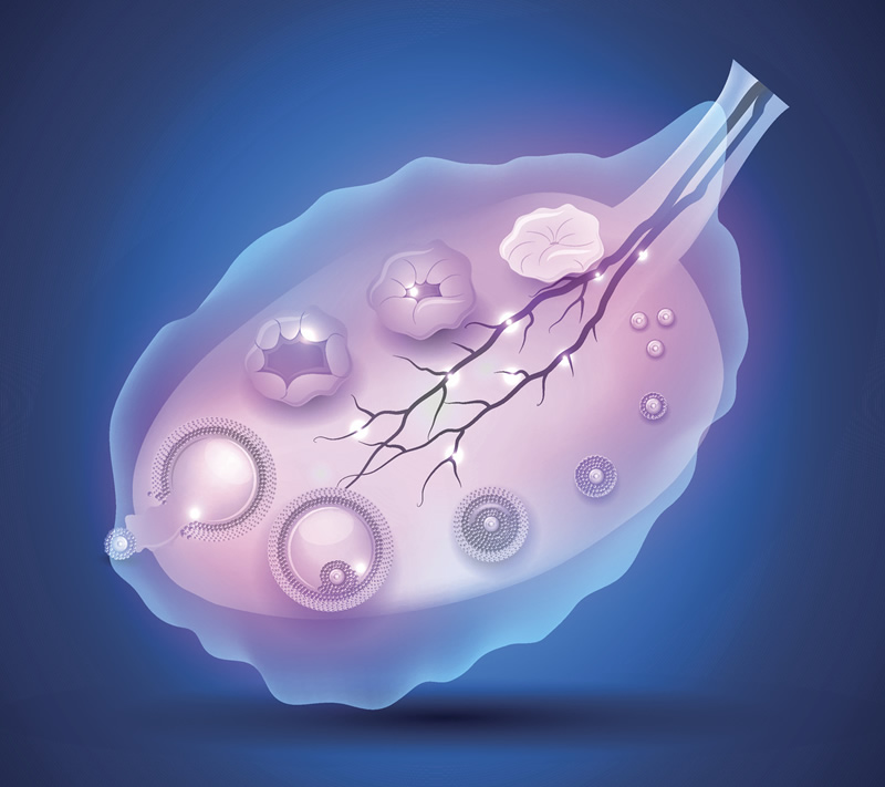 江苏省助孕医院做三代试管婴儿的流程是怎么样的？江苏省助孕医院三代试管步骤